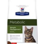 Metabolic Cat