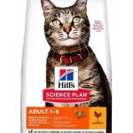 Adult Cat Food with Chicken