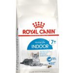 INDOOR +7