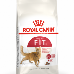 غذا خشک گربه فیت رویال کنین ۲ کیلوگرم (Royal Canin Regular FIT Dog Dry Food 2 kg )