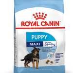 غذای خشک سگ نابالغ نژاد بزرگ رویال کنین ۱۵ کیلوگرم ( Royal Canin Maxi Puppy 15kg)