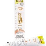 GIMCAT ENERGY PASTE