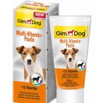 GIMDOG MULTI-VITAMIN PASTE