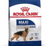 غذای خشک سگ بالغ نژاد بزرگ رویال کنین ۱۵ کیلوگرم ( Royal Canin Maxi Adult 15kg)