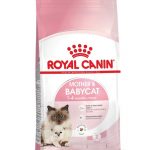 غذای خشک بچه گربه 1 تا 4 ماه و مادر باردار و شیرده رویال کنین 10 کیلویی ( Royal Canin Mother & Baby Cat 10kg)